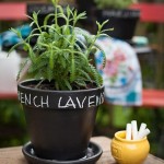 Simple_DIY_Herb_Pots_01