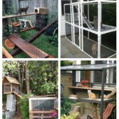 main 51 Outdoor Cat Enclosures Your Cat Will Love
