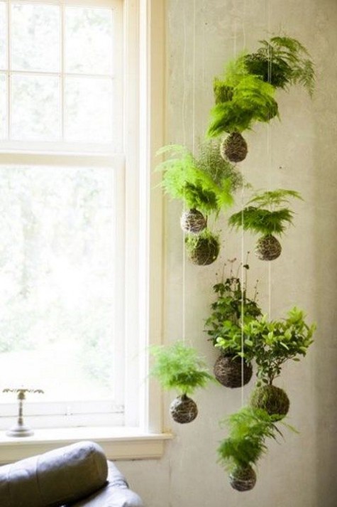greenery_10
