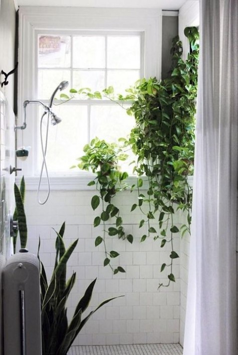 greenery_11