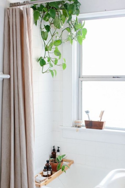 greenery_20