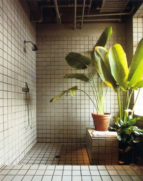 greenery_22