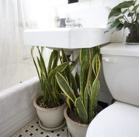 greenery_32