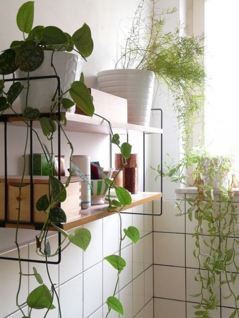 greenery_33