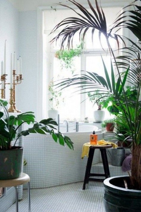 greenery_38