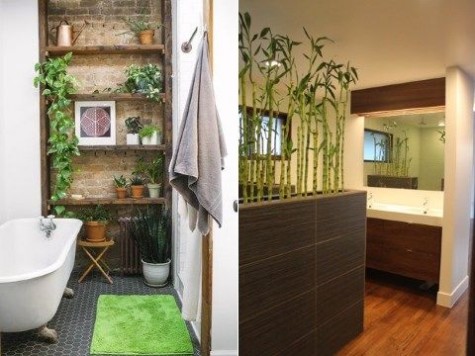 greenery_40