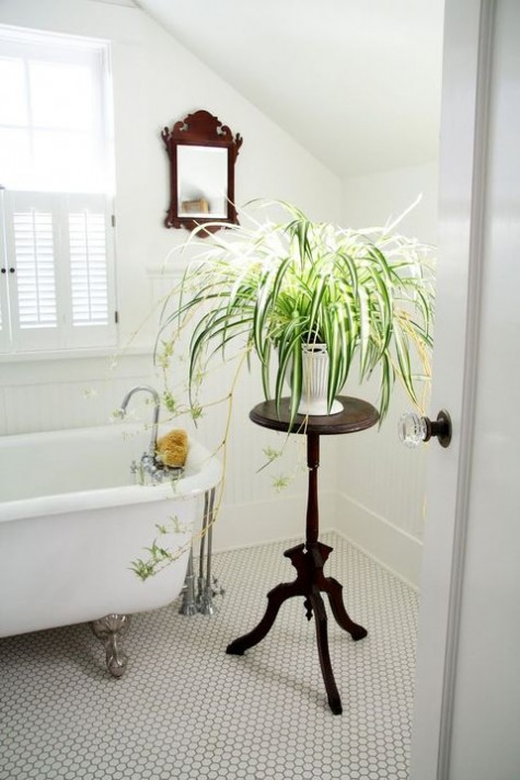greenery_42