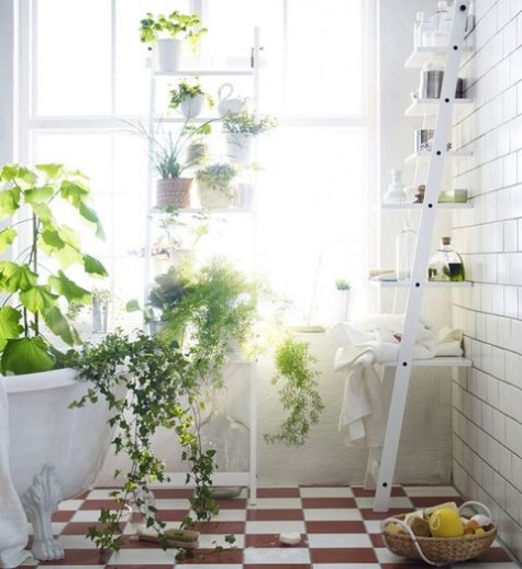 greenery_43