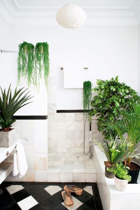 greenery_44