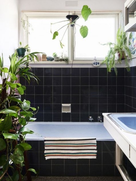 greenery_48
