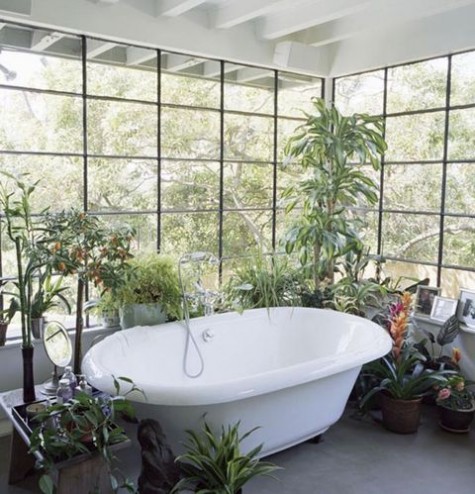 greenery_55