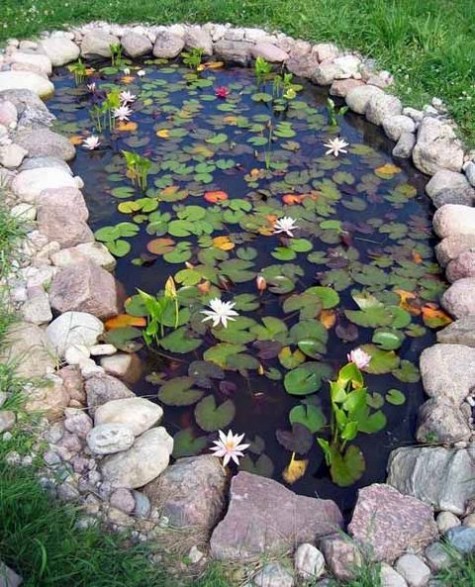 pond_01