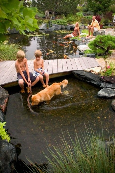 pond_02