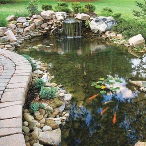 pond_03