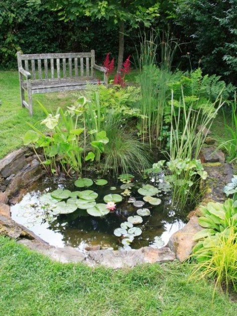 pond_07