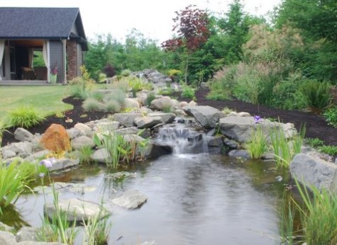 pond_08