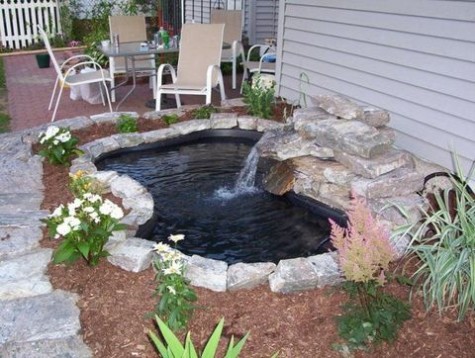pond_11