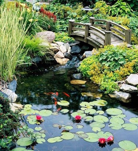 pond_12