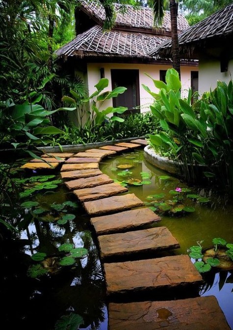 pond_13