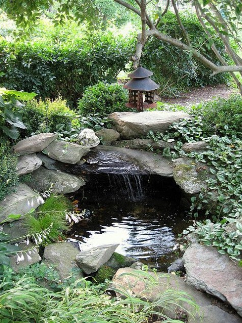 pond_14