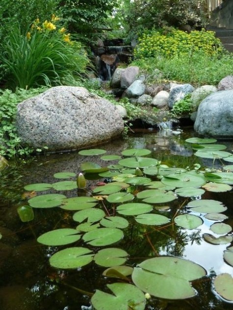 pond_15