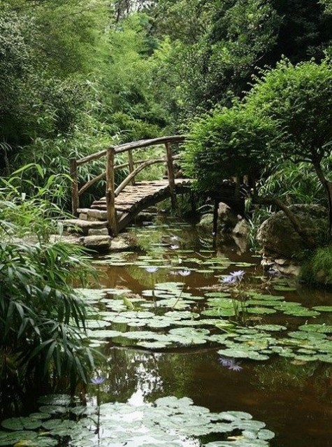 pond_17