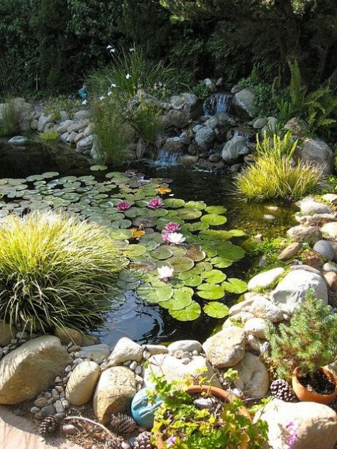 pond_18