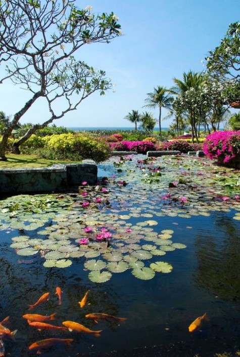 pond_22