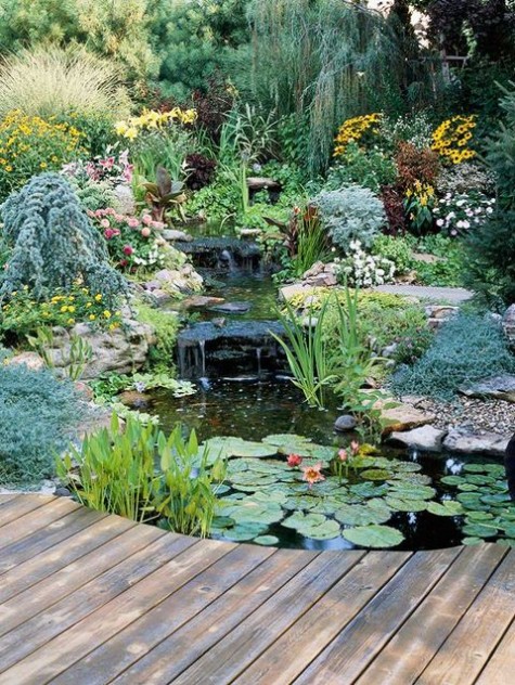 pond_24
