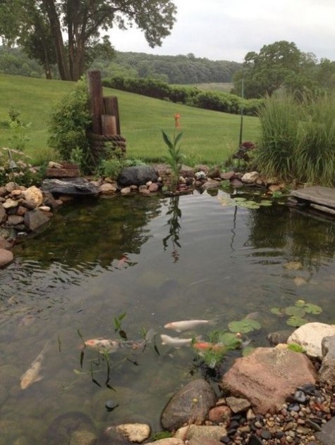 pond_26