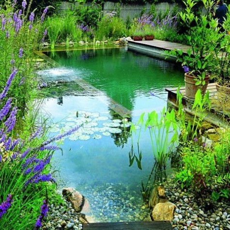 pond_28