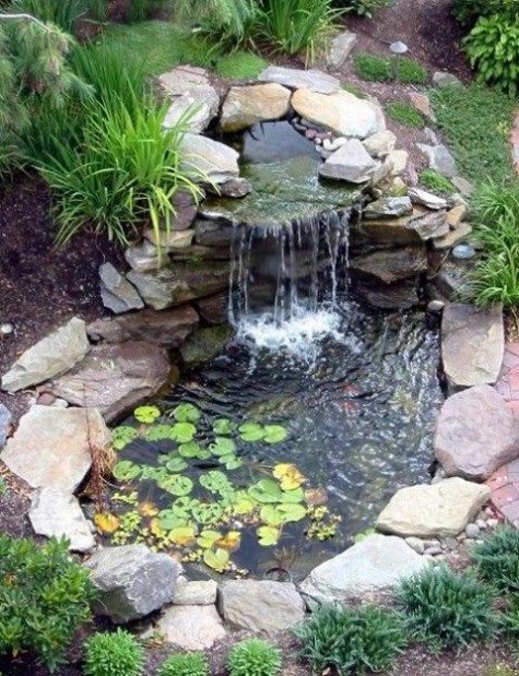 pond_29