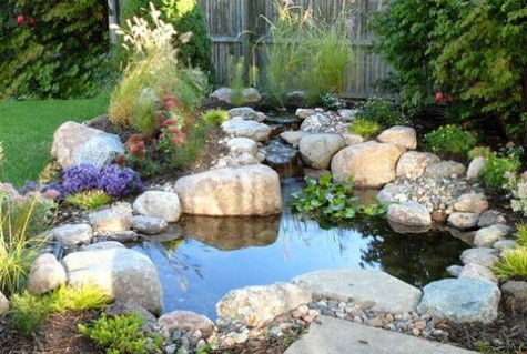pond_31