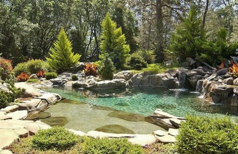 pond_33