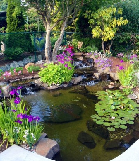 pond_37