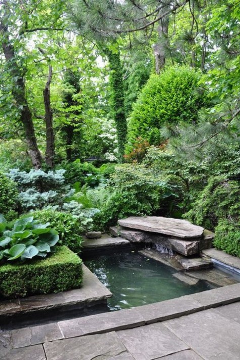 pond_40