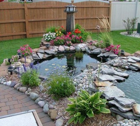 pond_41