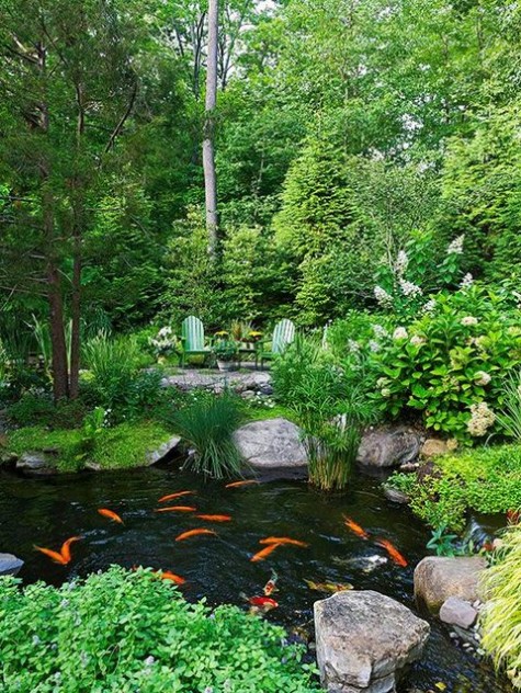 pond_42