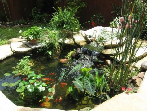 pond_44