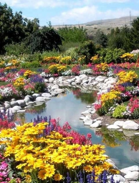 pond_51