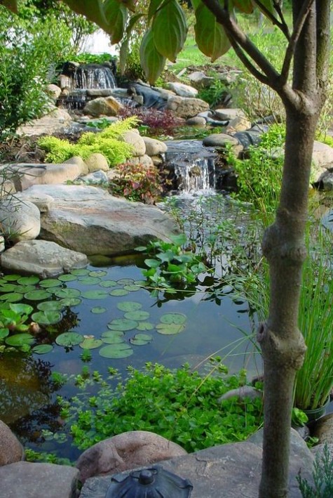 pond_52