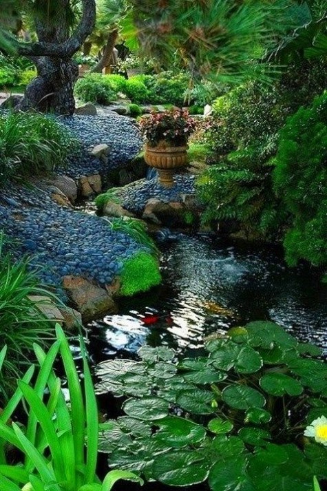 pond_54