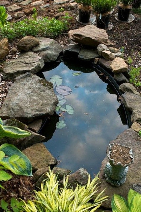 pond_55