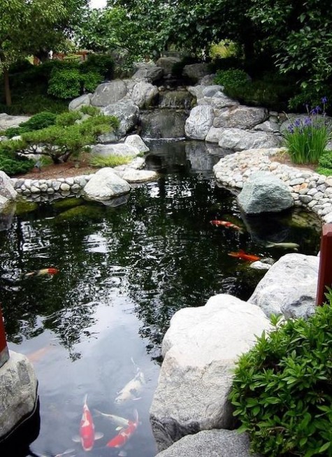 pond_56