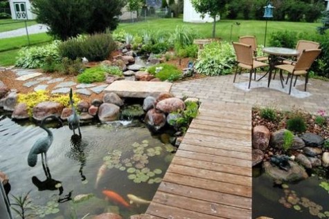 pond_61