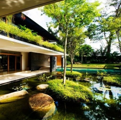 pond_62