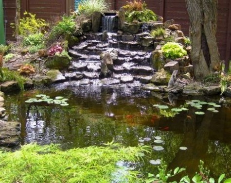pond_66