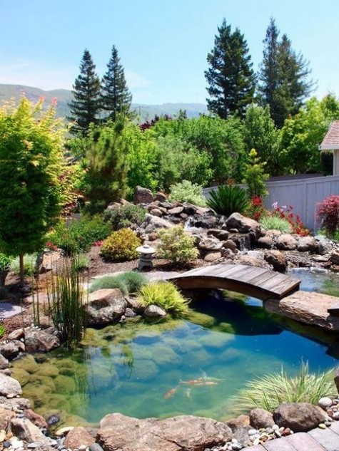 pond_67