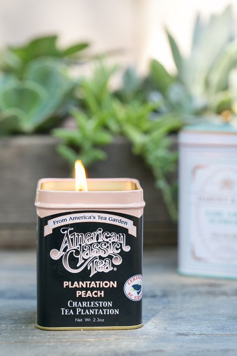 23 DIY Citronella Candles To Keep The Insects Away