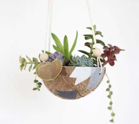 24 Cute And Space-Saving DIY Hanging Planters